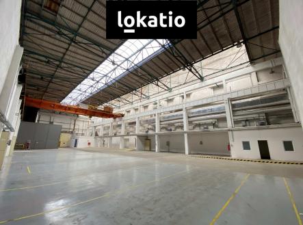 Hala1200 (12) | Pronájem - komerční objekt, výroba, 1 200 m²