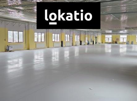 nový 2 | Pronájem - komerční objekt, sklad, 810 m²