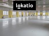 Pronájem - komerční objekt, sklad, 810 m²