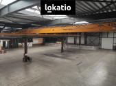 Pronájem - komerční objekt, sklad, 4 135 m²
