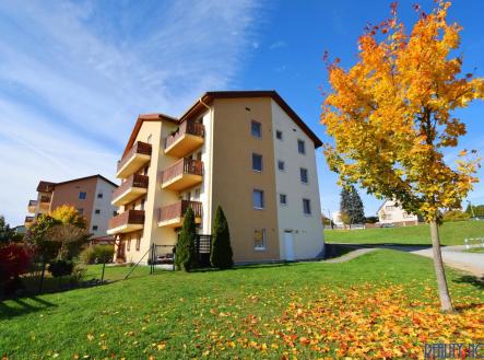 26.JPG | Prodej bytu, 3+kk, 81 m²