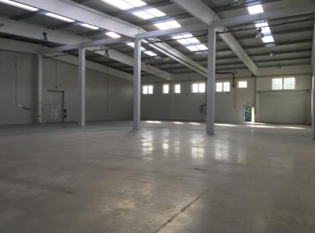 Pronájem - výrobní prostor, 1 000 m²