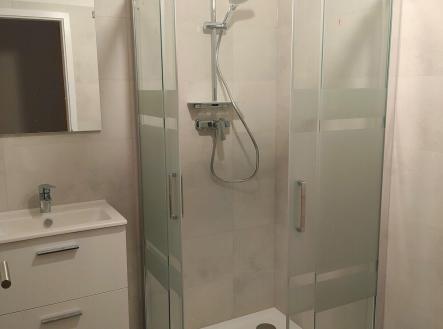 Sprchový kout v koupel | Prodej bytu, 2+kk, 47 m²