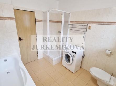 Pronájem bytu, 1+1, 55 m²