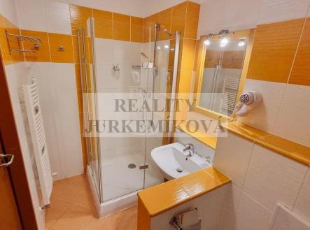 Prodej bytu, 1+kk, 30 m²