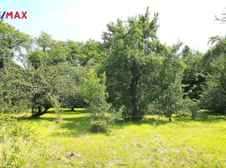 p6121757.jpg | Prodej - pozemek pro bydlení, 3 112 m²