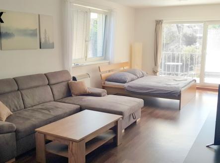 20220829-110631.jpg | Pronájem bytu, 1+kk, 48 m²