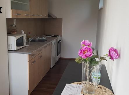 20220829-110608.jpg | Pronájem bytu, 1+kk, 48 m²