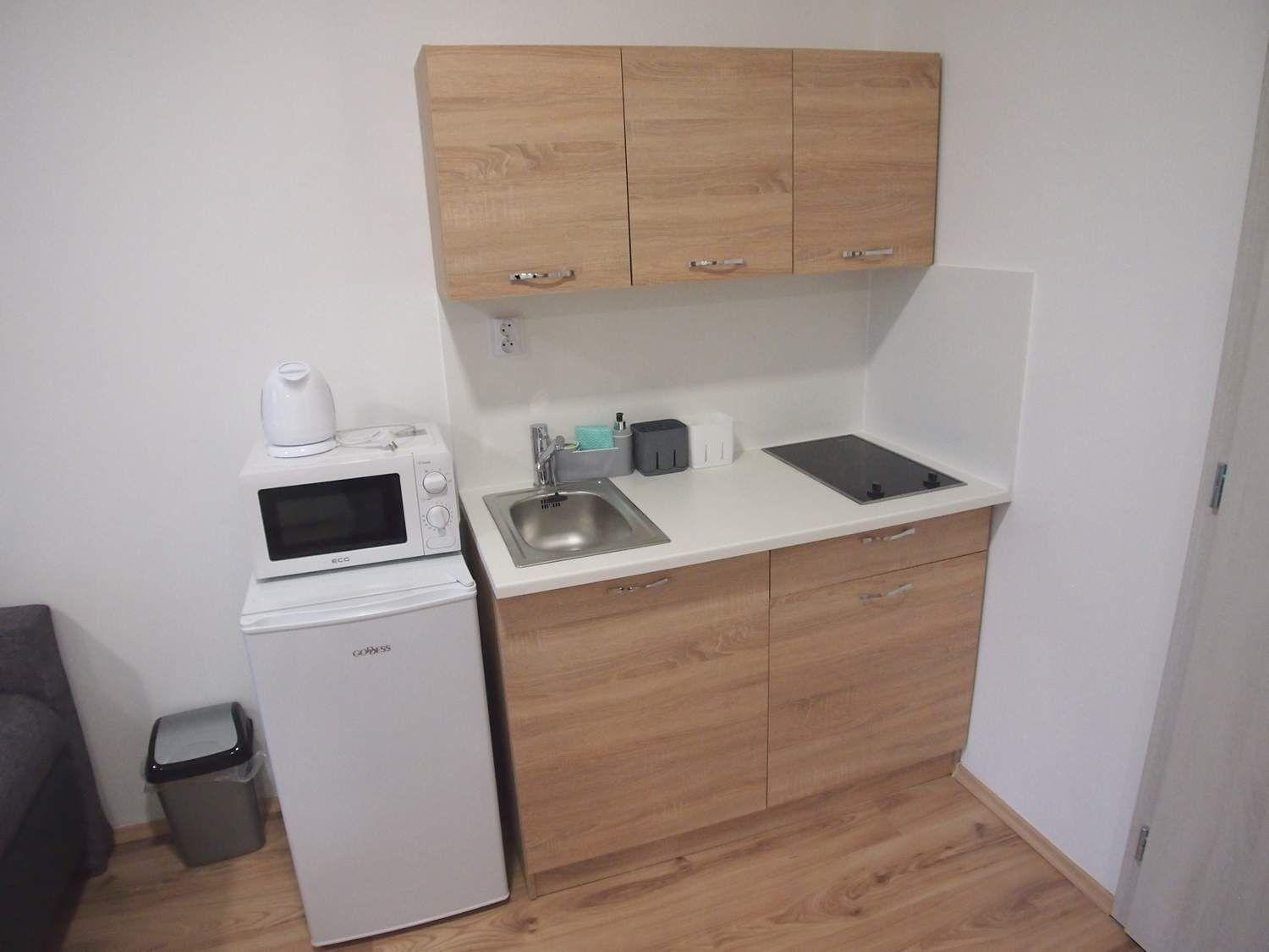 Pronájem kompletně zařízeného bytu 1+kk Brno - Stránice / Masarykova čtvrt