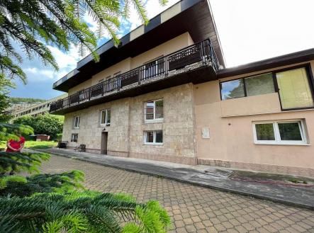 Prodej - nájemní dům, 550 m²