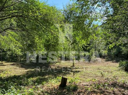 img-2724a.jpg | Prodej - pozemek pro bydlení, 5 321 m²