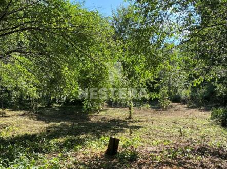 img-2724a.jpg | Prodej - pozemek pro bydlení, 5 321 m²