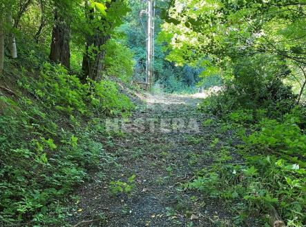 img-2728a.jpg | Prodej - pozemek pro bydlení, 5 321 m²