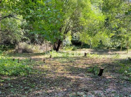 img-2722a.jpg | Prodej - pozemek pro bydlení, 5 321 m²