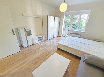 1.jpg | Pronájem bytu, 1+1, 30 m²