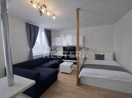 obyvak.png | Pronájem bytu, 1+kk, 41 m²