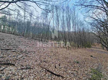 1.jpg | Prodej - pozemek, trvalý travní porost, 10 301 m²