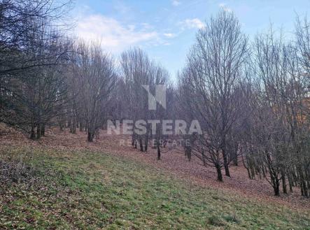 2.jpg | Prodej - pozemek, trvalý travní porost, 10 301 m²