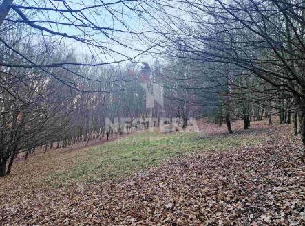 3.jpg | Prodej - pozemek, trvalý travní porost, 10 301 m²