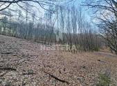 Prodej - pozemek, trvalý travní porost, 10 301 m²