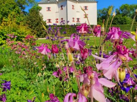 29.jpg | Pronájem bytu, 1+kk, 40 m²