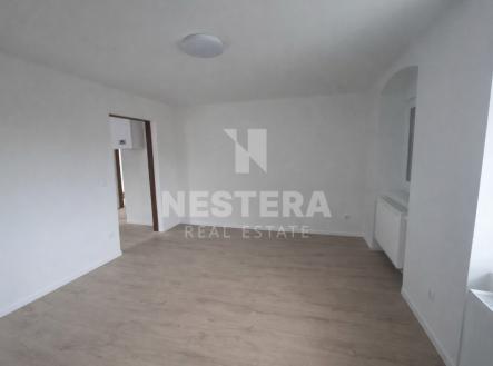 10.png | Pronájem bytu, 1+1, 20 m²