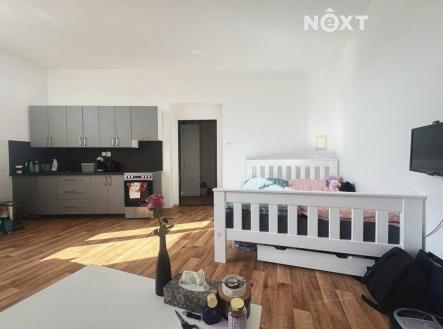 Pronájem bytu, 1+kk, 47 m²