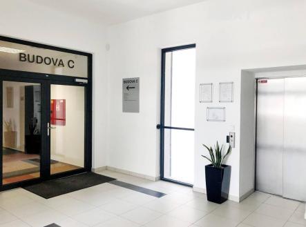 Pronájem - kanceláře, 22 m²