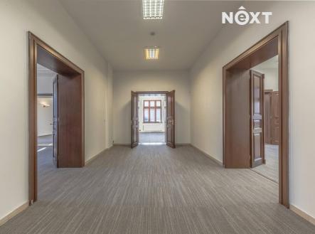 Pronájem - kanceláře, 230 m²