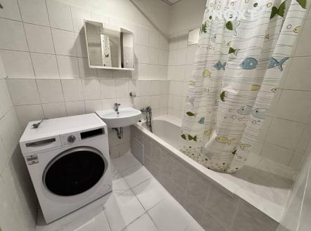 Pronájem bytu, 1+1, 45 m²