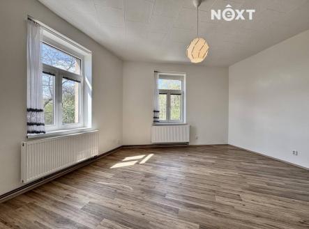 Pronájem bytu, 1+1, 55 m²
