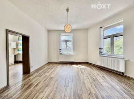 Pronájem bytu, 1+1, 55 m²