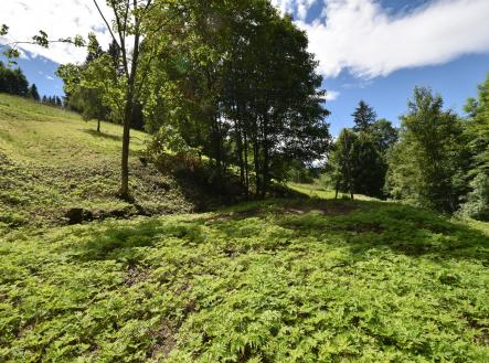 Prodej - pozemek pro bydlení, 2 799 m² obrázek
