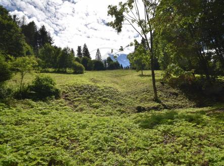 Prodej - pozemek pro bydlení, 2 799 m²