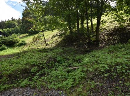 Prodej - pozemek pro bydlení, 2 799 m²