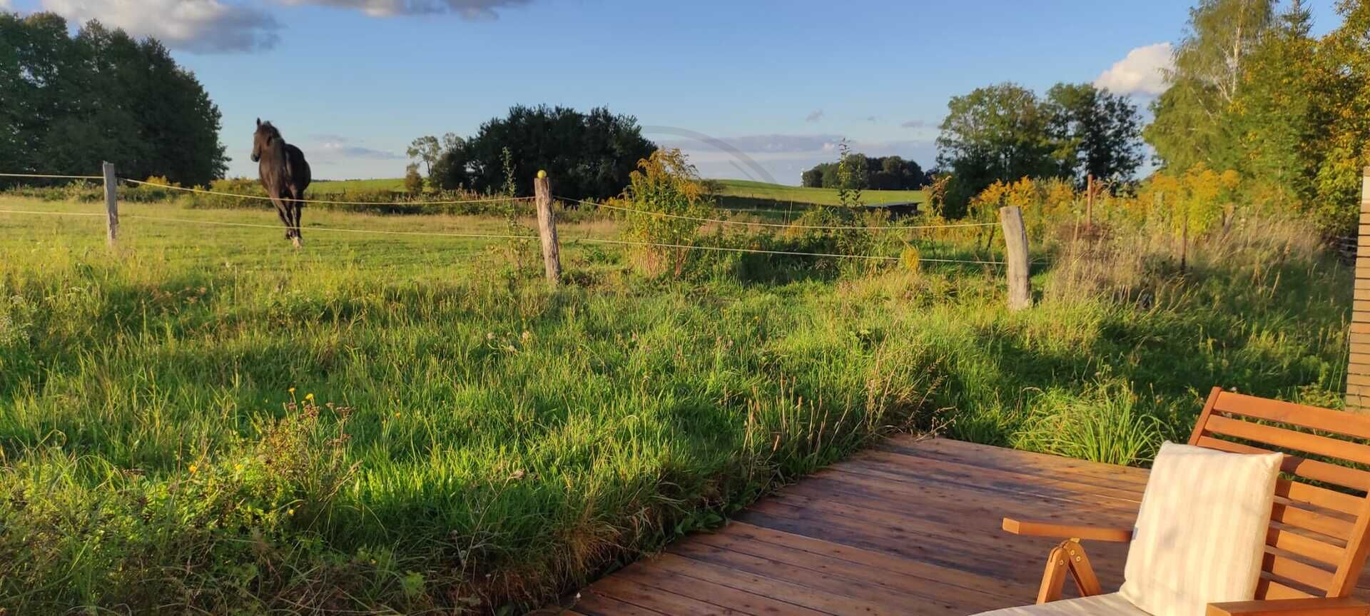 Prodej slunného stavebního pozemku 1771 m² – Stará Červená Voda