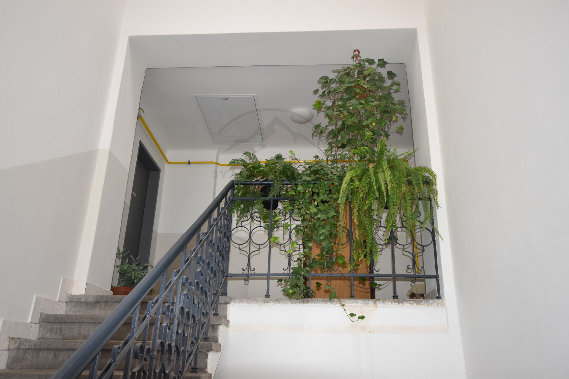 Prodej prostorného bytu 2+KK, 55 m², po rekonstrukci, v cihlovém domě, centrum Jeseník, ulice Školní