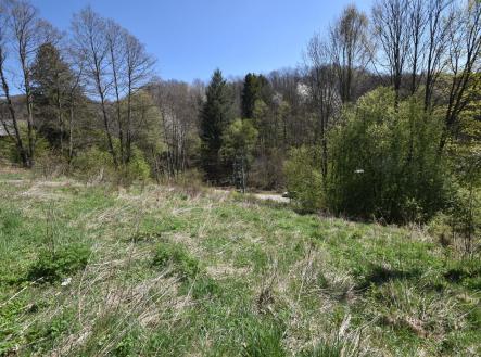 Prodej - pozemek pro bydlení, 3 985 m²