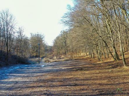 DJI_0418.jpeg | Prodej - pozemek, zahrada, 1 446 m²