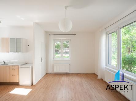 dma00523-hdr.jpg | Pronájem bytu, 1+kk, 28 m²