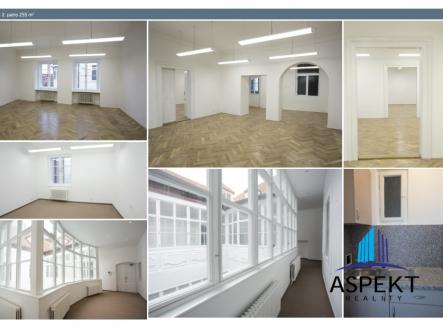 madona-2-patro-dragged-6.jpg | Pronájem - kanceláře, 255 m²