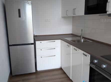Pronájem bytu, 1+1, 45 m² obrázek