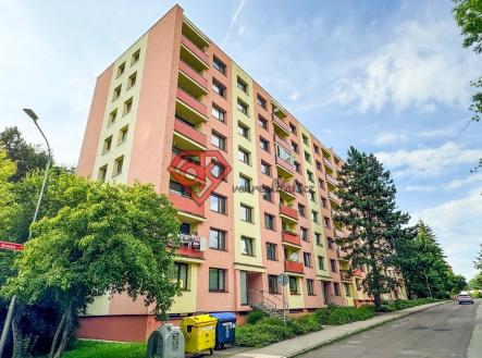 Pronájem bytu, 1+kk, 20 m²