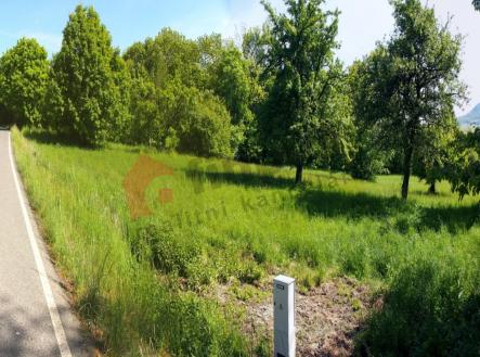 Prodej - pozemek pro bydlení, 4 941 m²