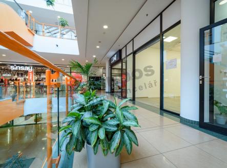 Pronájem - komerční objekt, výroba, 37 m²