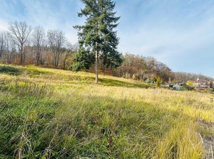 IMG-20251113-WA0012 | Prodej - pozemek pro bydlení, 1 306 m²