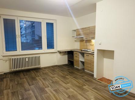 IMG_2758 | Pronájem bytu, 1+kk, 27 m²