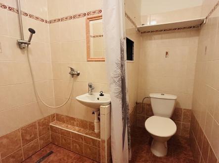 IMG_2761 | Pronájem bytu, 1+kk, 27 m²