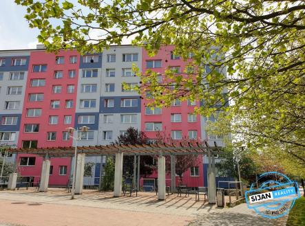 20200501_132210 | Pronájem bytu, 1+1, 32 m²