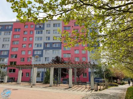 20260526-113714-694.jpeg | Pronájem bytu, 1+1, 32 m²